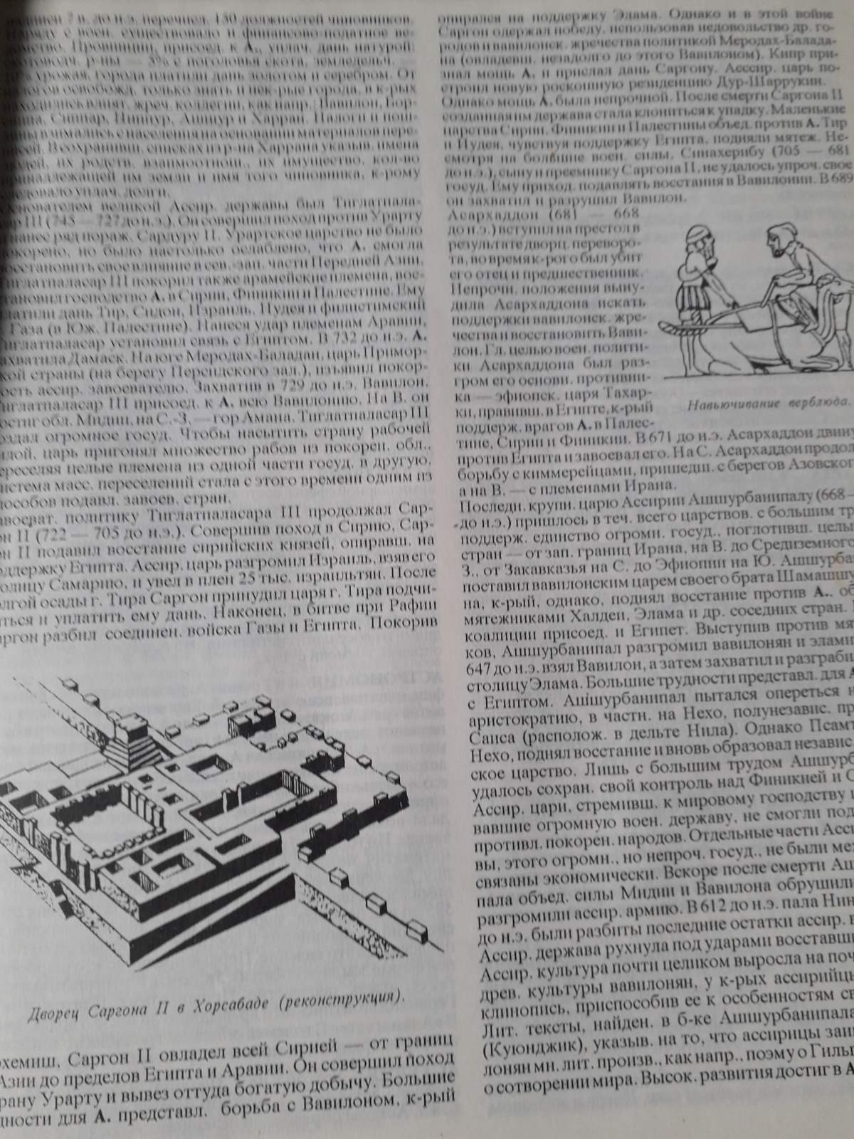 Древний мир. в 2-х томах Гладкий В.Д. Букинистика