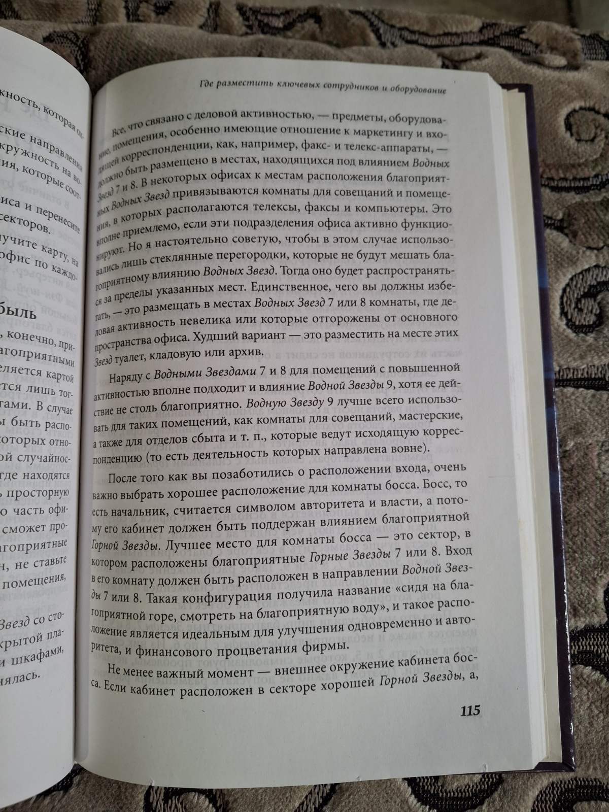 Фен - шуй та аналіз Долі. Практичний посібник для ділових людей Реймонд Ло