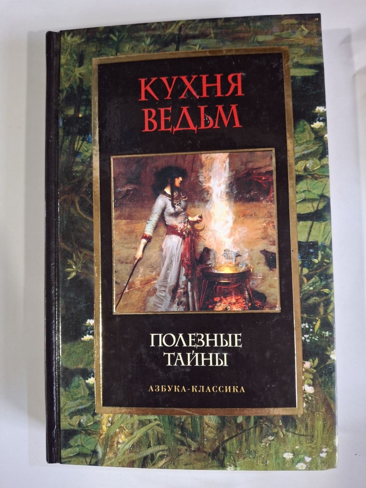 Книга Кухня ведьм, Полезные тайны, Горелов