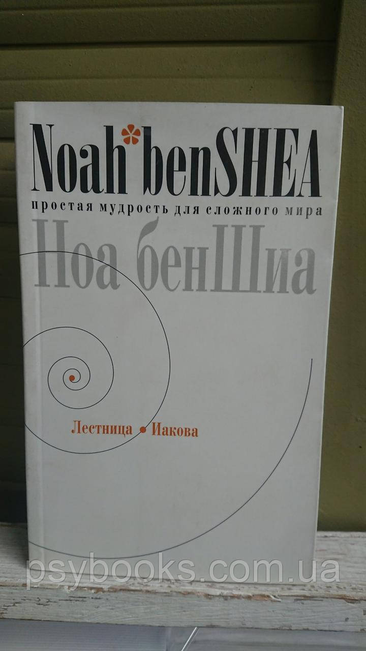 Ноа бенШіа Драбина Павуста