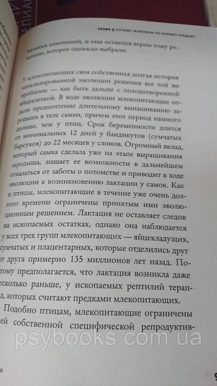 Почему нам так нравится секс?Джаред Даймонд Хорошее состояние Букинистика