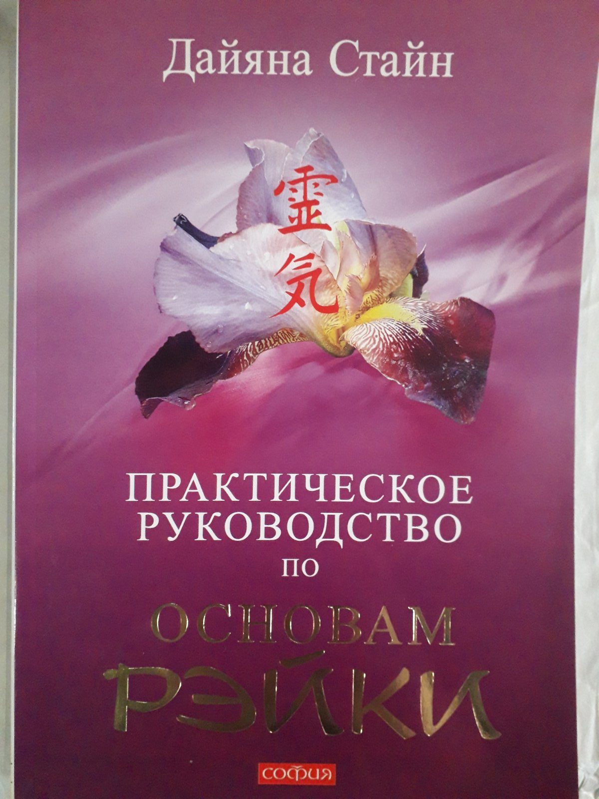 Практичний посібник з основ Рейкі Дайяна Стайн Букіністика
