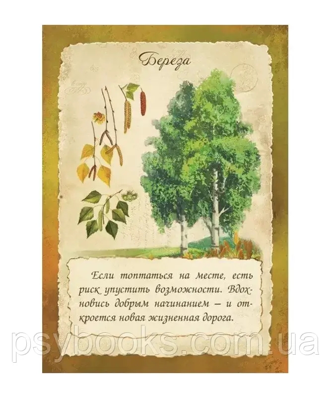 Психологическая игра "Хранительницы Сада". Зинкевич-Евстигнеева Татьяна