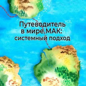 Путеводитель в мире МАК: системный подход. Юлия Демидова, Геннадий Демидов