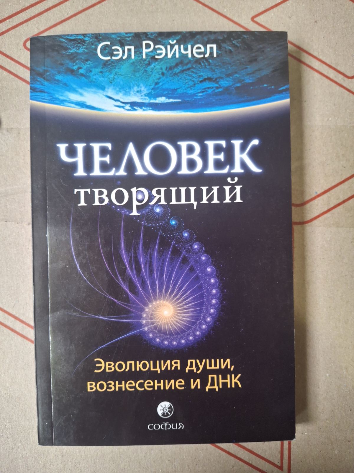 Сэл Рэйчел Человек творящий