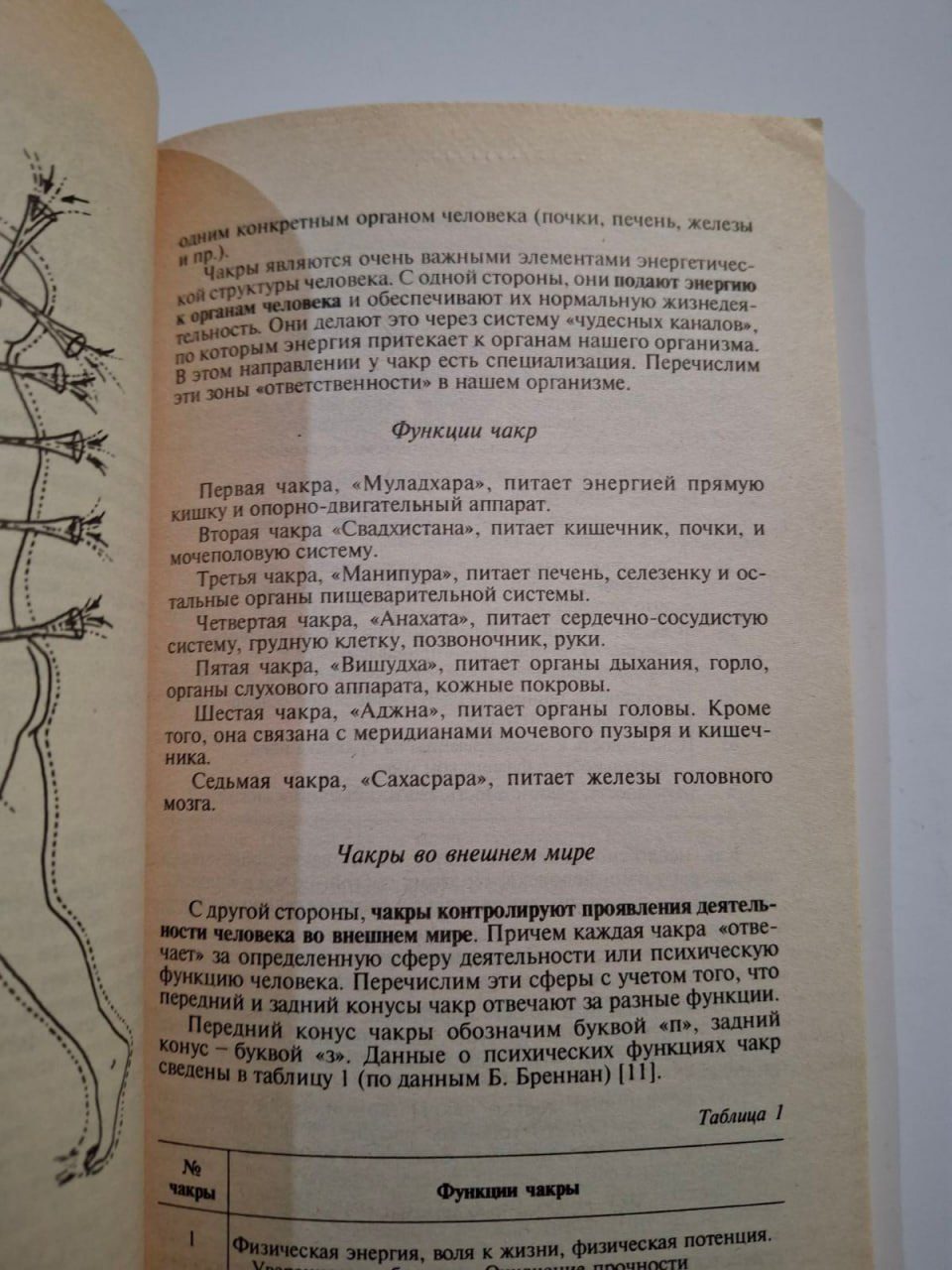 Що робити, коли все не так, як хочеться. Як зрозуміти уроки життя та стати його улюбленцем (М'яка обкладинка)