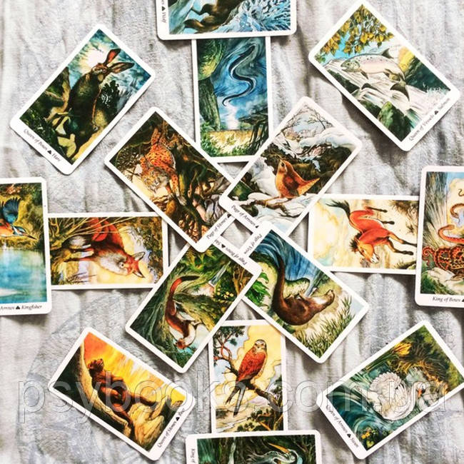 Таро Дикого Леса. The Wild Wood Tarot. В подарочной коробке.