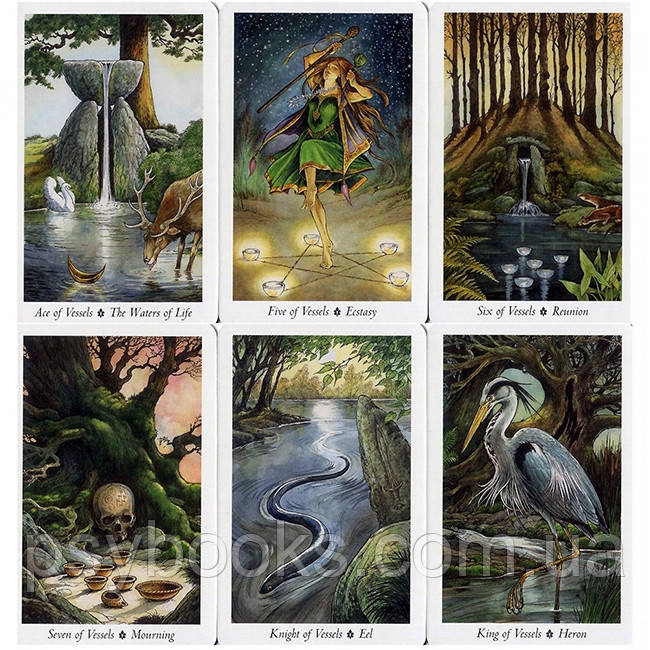 Таро Дикого Леса. The Wild Wood Tarot. В подарочной коробке.