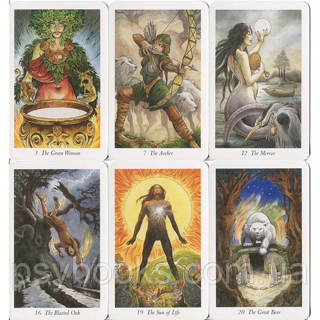 Таро Дикого Леса. The Wild Wood Tarot. В подарочной коробке.