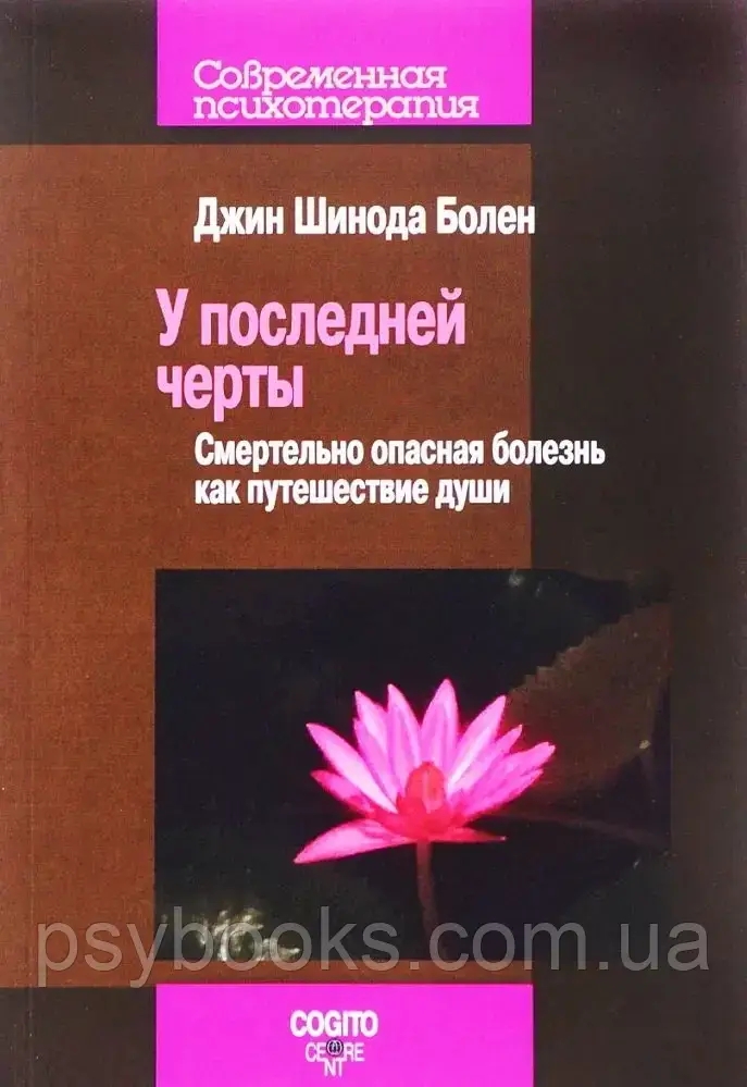 У последней черты. Смертельно опасные болезни как путешествие души Шинда Болен